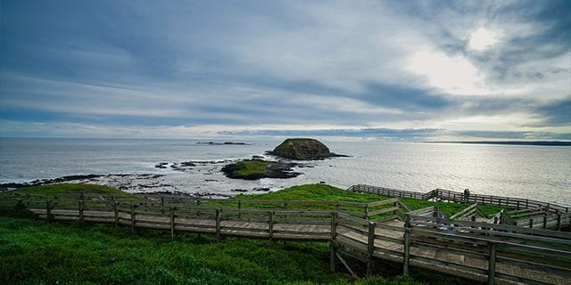 Phillip Island melbourne 1 1 - أفضل 5 أنشطة في جزيرة فيليب ملبورن في استراليا
