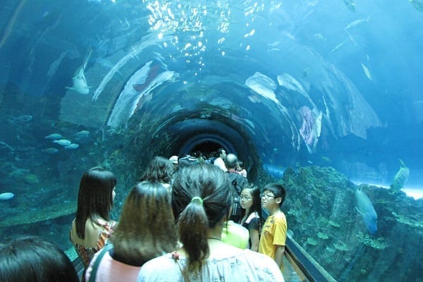 phuket aquarium
