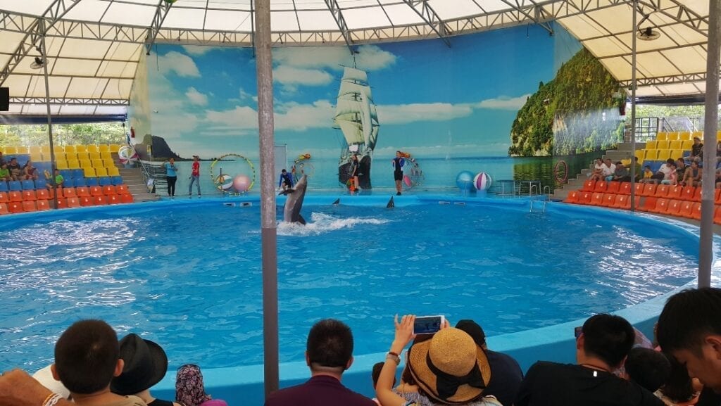 phuket aquarium