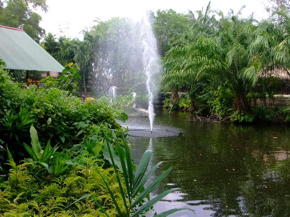 حديقة حيوان بوكيت تايلاند