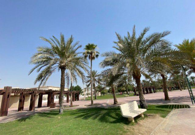 حديقة الامير عبد المحسن بن جلوي