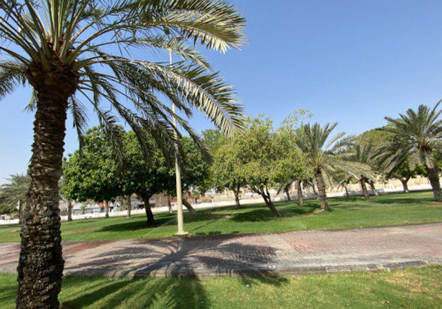 حديقة الامير عبد المحسن بن جلوي