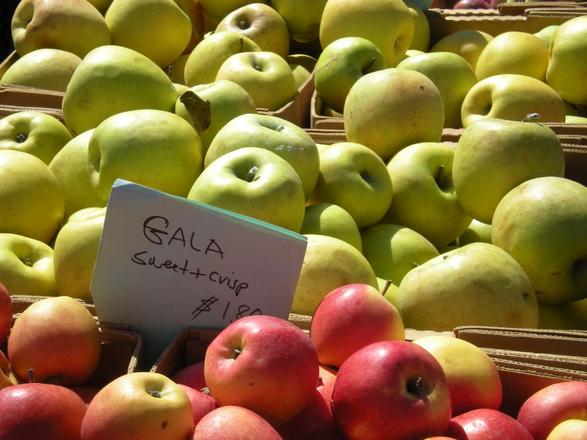 منتزه بروسبكت بارك نيويورك من أفضل الاماكن السياحية في امريكا