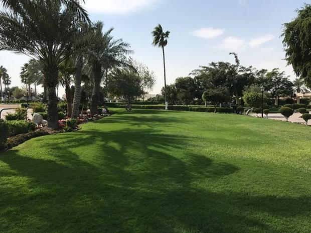 حدائق ومنتزهات قطر