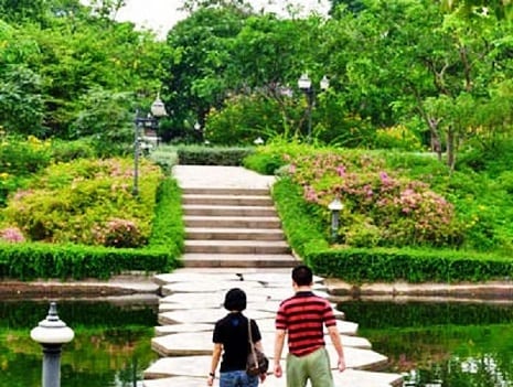 مسارات أفضل 7 أنشطة في حديقة الملكة سيريكيت النباتية في شنغماي تايلاند