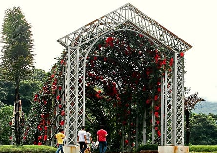 نفق الزهور الحمراء في أفضل 7 أنشطة في حديقة الملكة سيريكيت النباتية في شنغماي تايلاند
