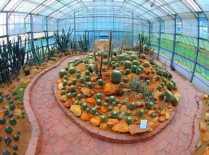 بيت النباتات الجافة الزجاجي في أفضل 7 أنشطة في حديقة الملكة سيريكيت النباتية في شنغماي تايلاند