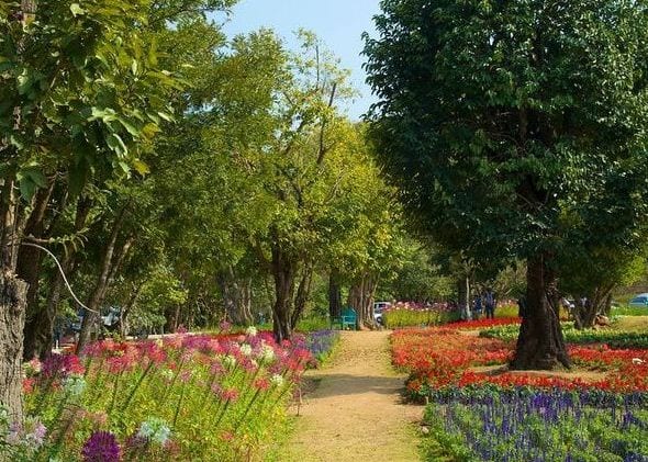 جولة في أفضل 7 أنشطة في حديقة الملكة سيريكيت النباتية في شنغماي تايلاند