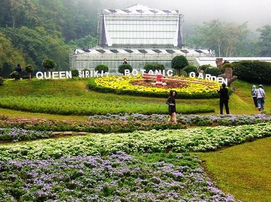 مشهد من أفضل 7 أنشطة في حديقة الملكة سيريكيت النباتية في شنغماي تايلاند