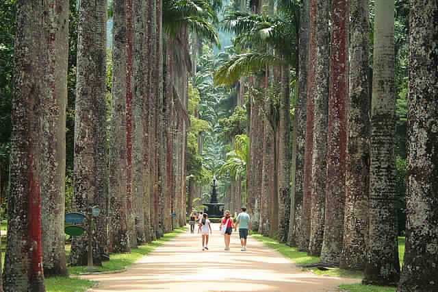 حديقة ريو دي جانيرو في البرازيل