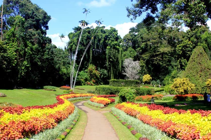 الحديقة النباتية الملكية بسريلانكا 