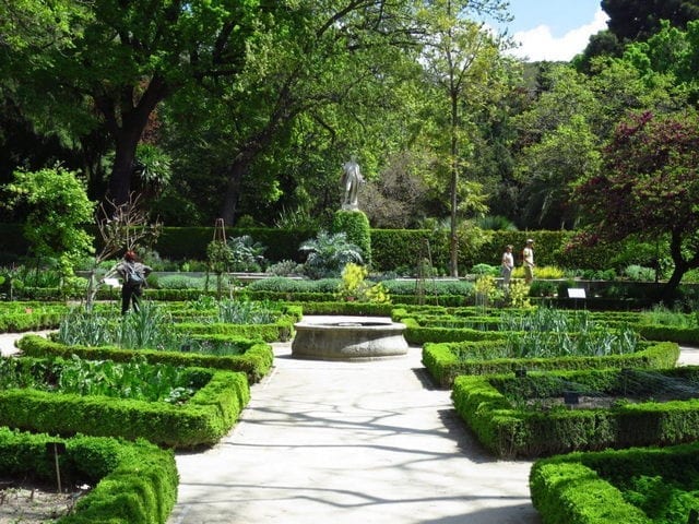 الحديقة النباتية الملكية من أفضل الاماكن السياحية في مدريد اسبانيا
