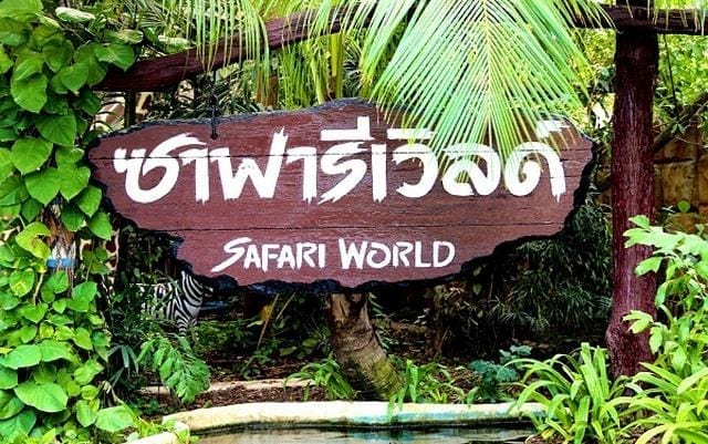 اجمل 6 انشطة في عالم سفاري بانكوك تايلاند