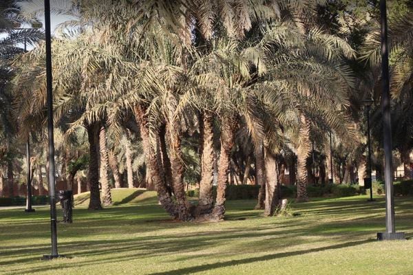 حديقة السلام في مدينة الرياض