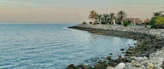 أفضل الأنشطة التي توفرها لك زيارة شاطئ الشويخ الكويت