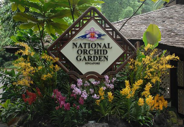 حديقة الاوركيد الوطنية في سنغافورة
