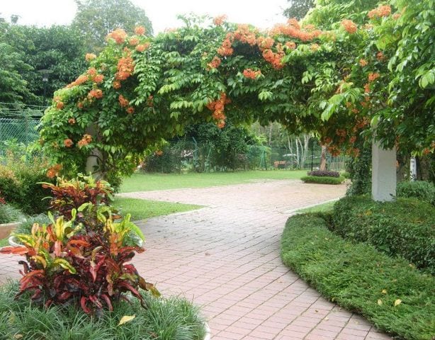 حديقة بينانج 