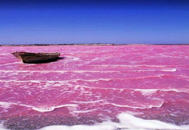 البحيرة الوردية مدينة السنغال