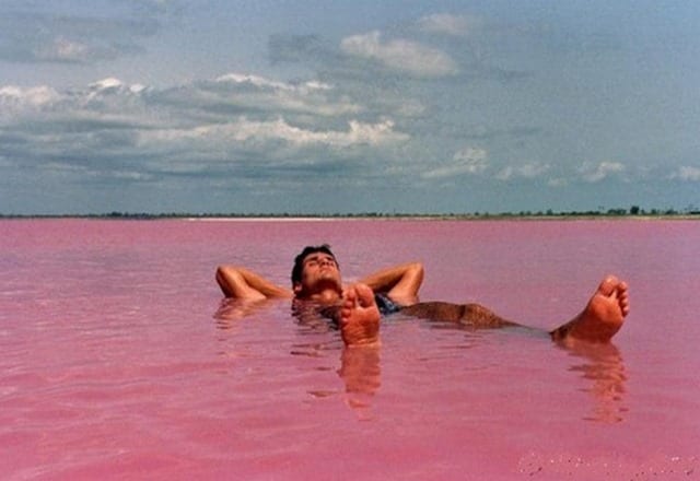 البحيرة الوردية في مدينة السنغال