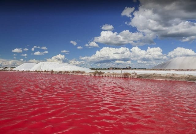 البحيرة الوردية بالسنغال