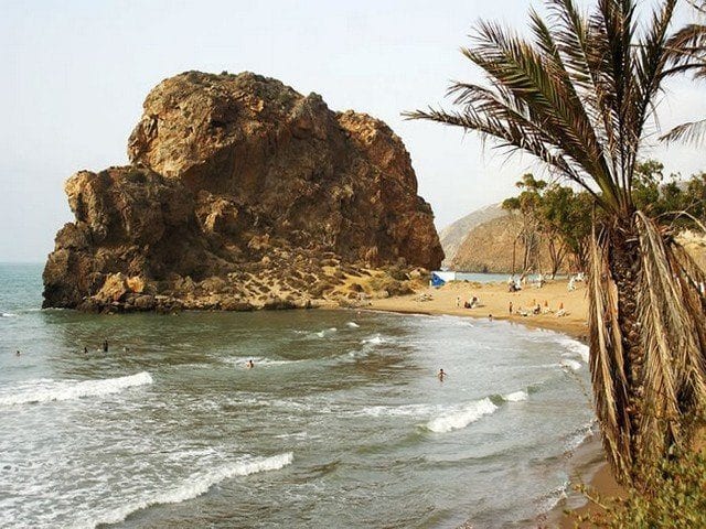 شاطئ الساحل