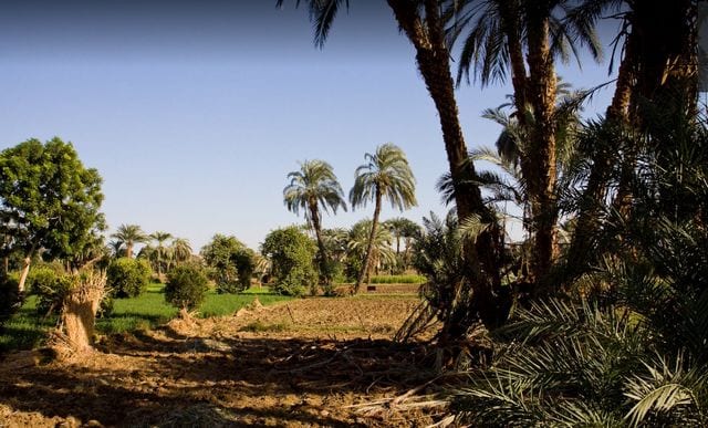السياحة في مصر الاقصر