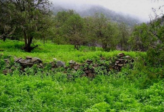اماكن سياحيه في ابها