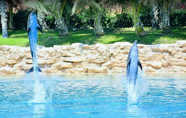 Tourist places in Dubai children 10 - أفضل 8 الاماكن السياحية في  دبي للاطفال ننصحكك بزيارتها