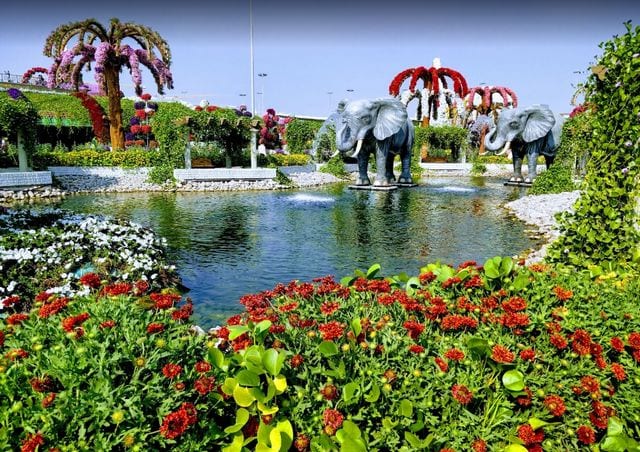 Tourist places in Dubai children 8 - أفضل 8 الاماكن السياحية في  دبي للاطفال ننصحكك بزيارتها