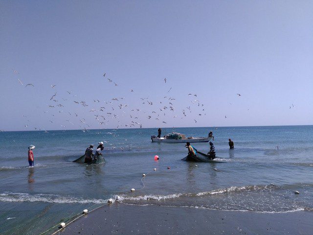 شاطئ المظلات الفجيرة