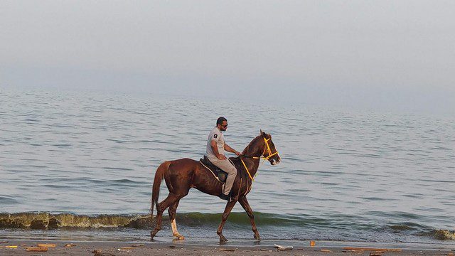 شاطئ المظلات في الفجيرة