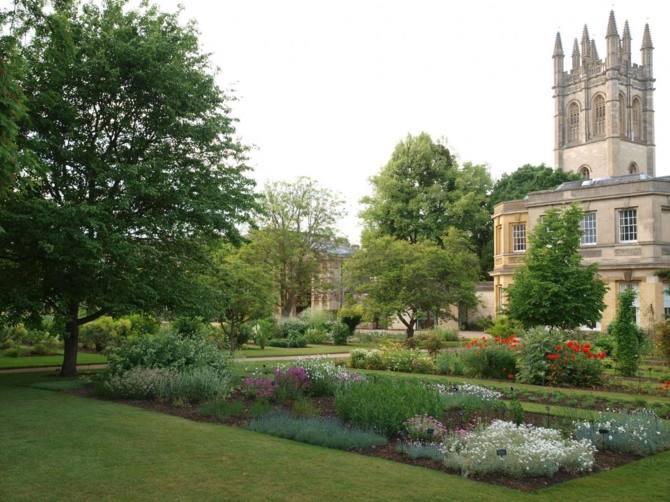 أفضل 8 أنشطة في حديقة جامعة اكسفورد النباتية
