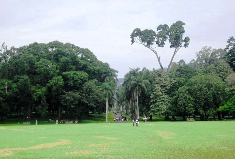 حديقة فكتوريا من أفضل الاماكن السياحية في نوراليا 