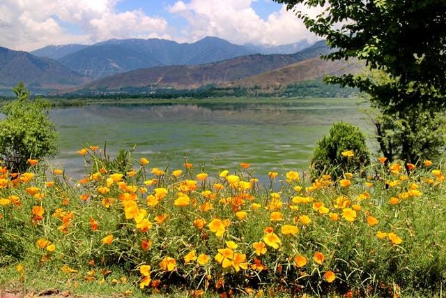 بحيرة وولار من أفضل الاماكن السياحية في كشمير
