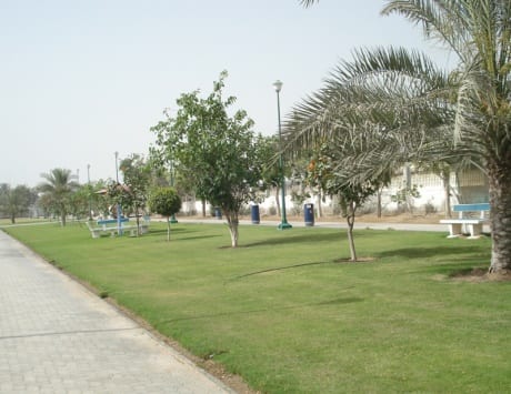 عين مضب الكبريتية في الفجيرة الامارات ، من أفضل الاماكن السياحية في الفجيرة