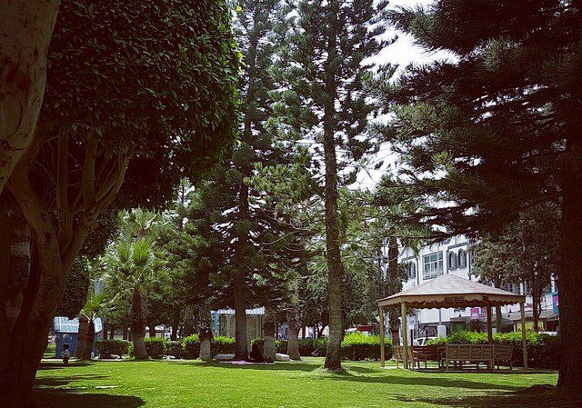 أفضل 3 أنشطة يمكنك القيام بها في حديقة الاندلس ابها