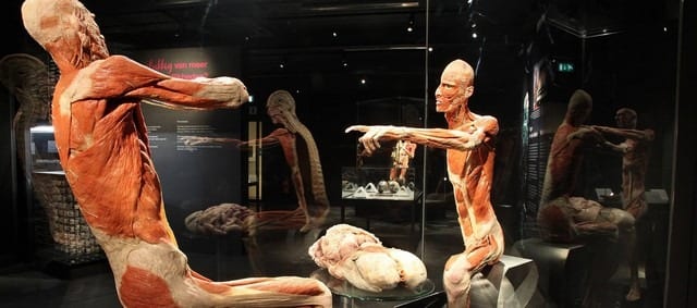 متحف عالم جسم الانسان امستردام من أفضل الاماكن السياحية في امستردام هولندا