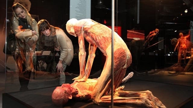 متحف عالم جسم الانسان من أفضل المتاحف في امستردام