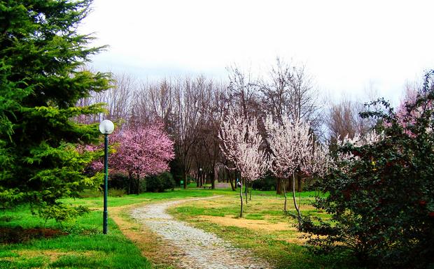 حديقة بوتانيك من أفضل حدائق بورصة تركيا