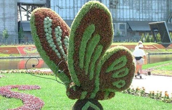 حديقة الفراشات في دبي من أفضل الاماكن السياحية في دبي