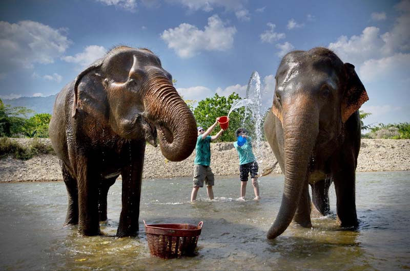حديقة الفيلة من أفضل الاماكن السياحية في شنغماي