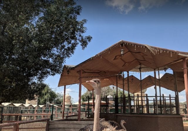 حديقة الحيوانات في أبوظبي