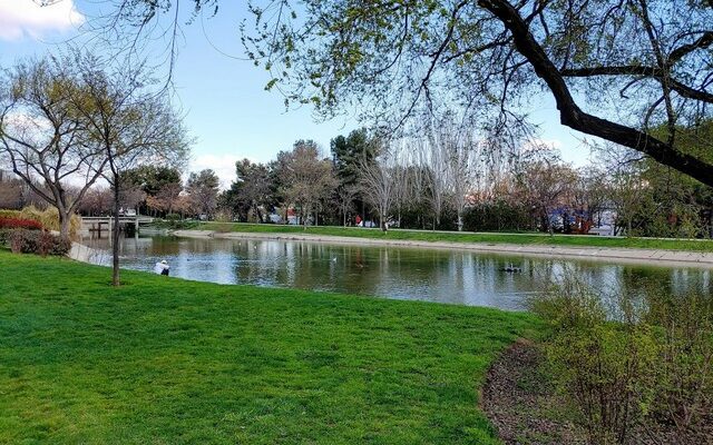 حديقة تيرنو جالفان مدريد