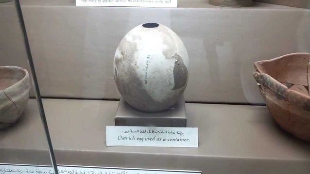 fujairah museum 4 - أفضل 5 انشطة في متحف الفجيرة الامارات
