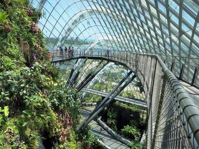 حدائق الخليج في سنغافورة من أفضل الاماكن السياحية في سنغافورة