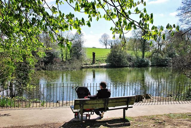 حديقة غريفس بارك ن أفضل الاماكن السياحية في شفيلد انجلترا