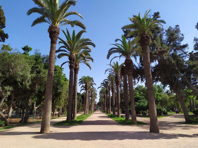 حديقة الإيسيسكو الدار البيضاء