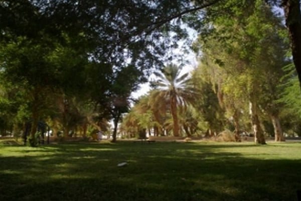 حديقة الملك عبدالله في الرياض