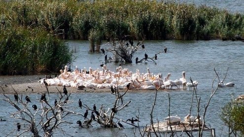 حديقة جنة الطيور في بورصة تركيا