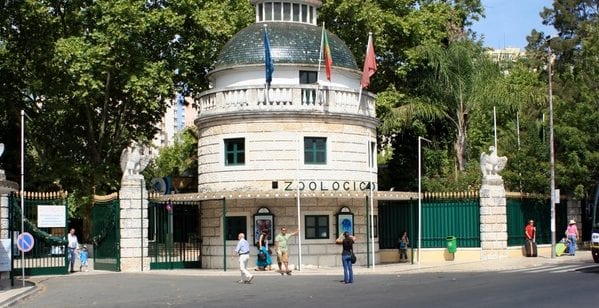 أفضل 4 أنشطة في حديقة حيوانات لشبونة البرتغال